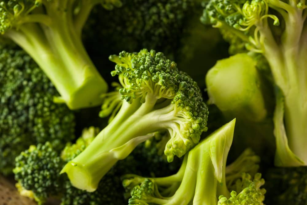 Primer plano de vibrantes floretes de brócoli fresco, listo para el consumo y beneficioso para la salud.
