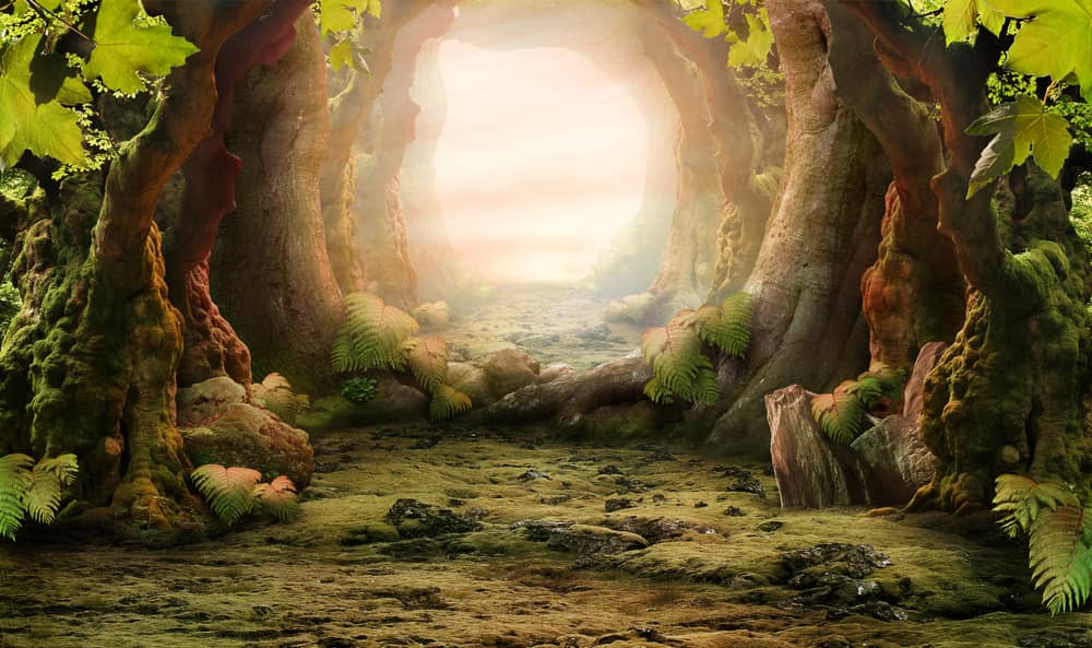 Análisis del Poema «Trees» de Joyce Kilmer 3 Análisis del poema Trees de Joyce Kilmer con una imagen de un camino en un bosque místico